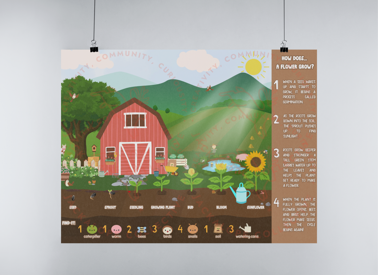 Printable children’s educational poster ‘How Does… A Flower Grow?’ featuring a red barn, farm landscape, sunflower growth stages from seed to bloom, and an interactive Find-It game, shown in a classroom-style hanging mockup.