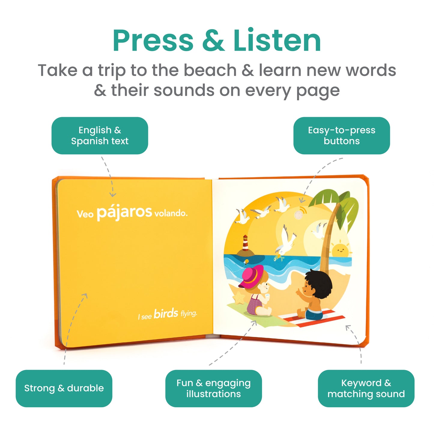 La Playa (The Beach) Sound Book