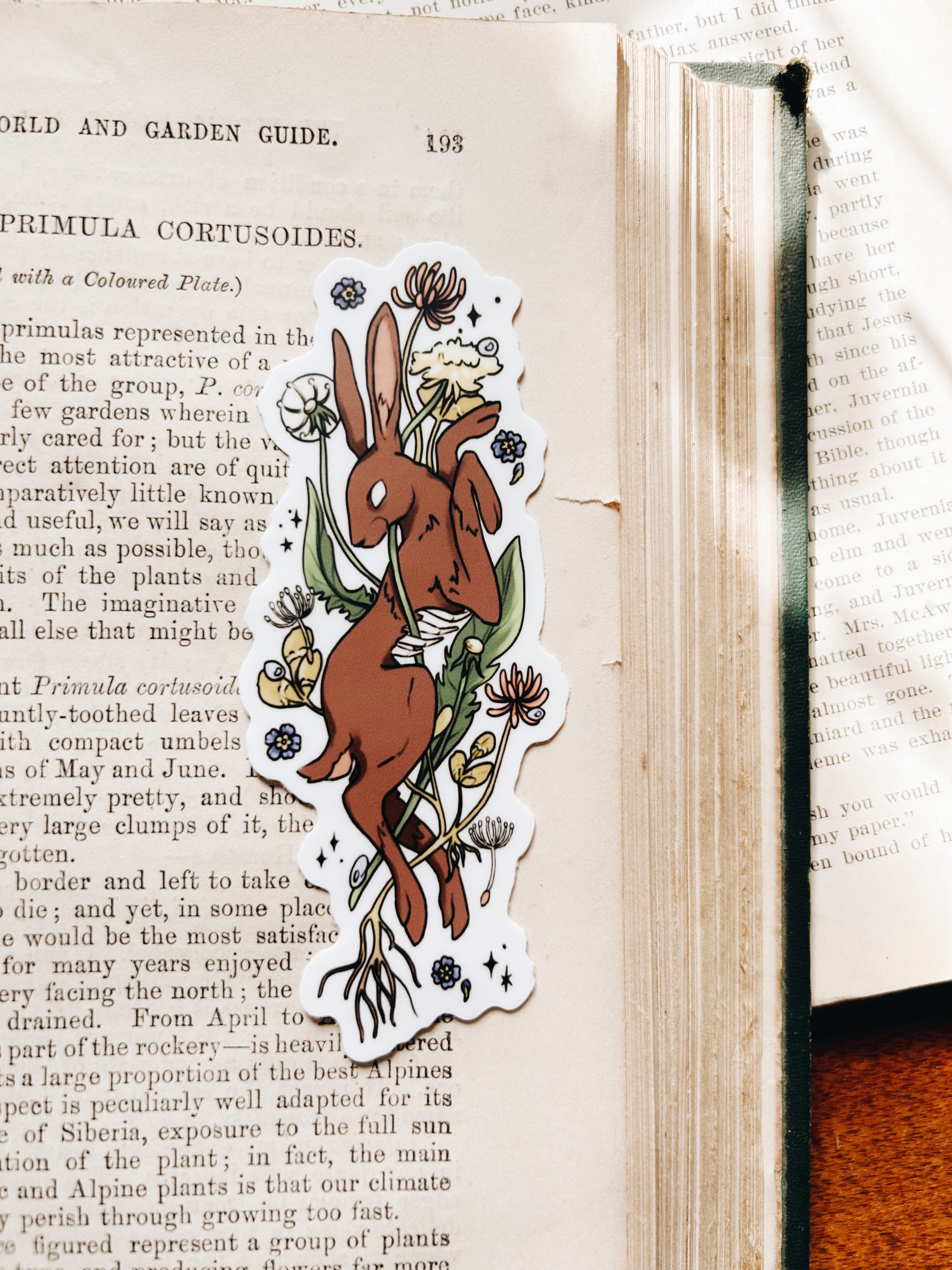 Spring Hare | Waterproof Sticker