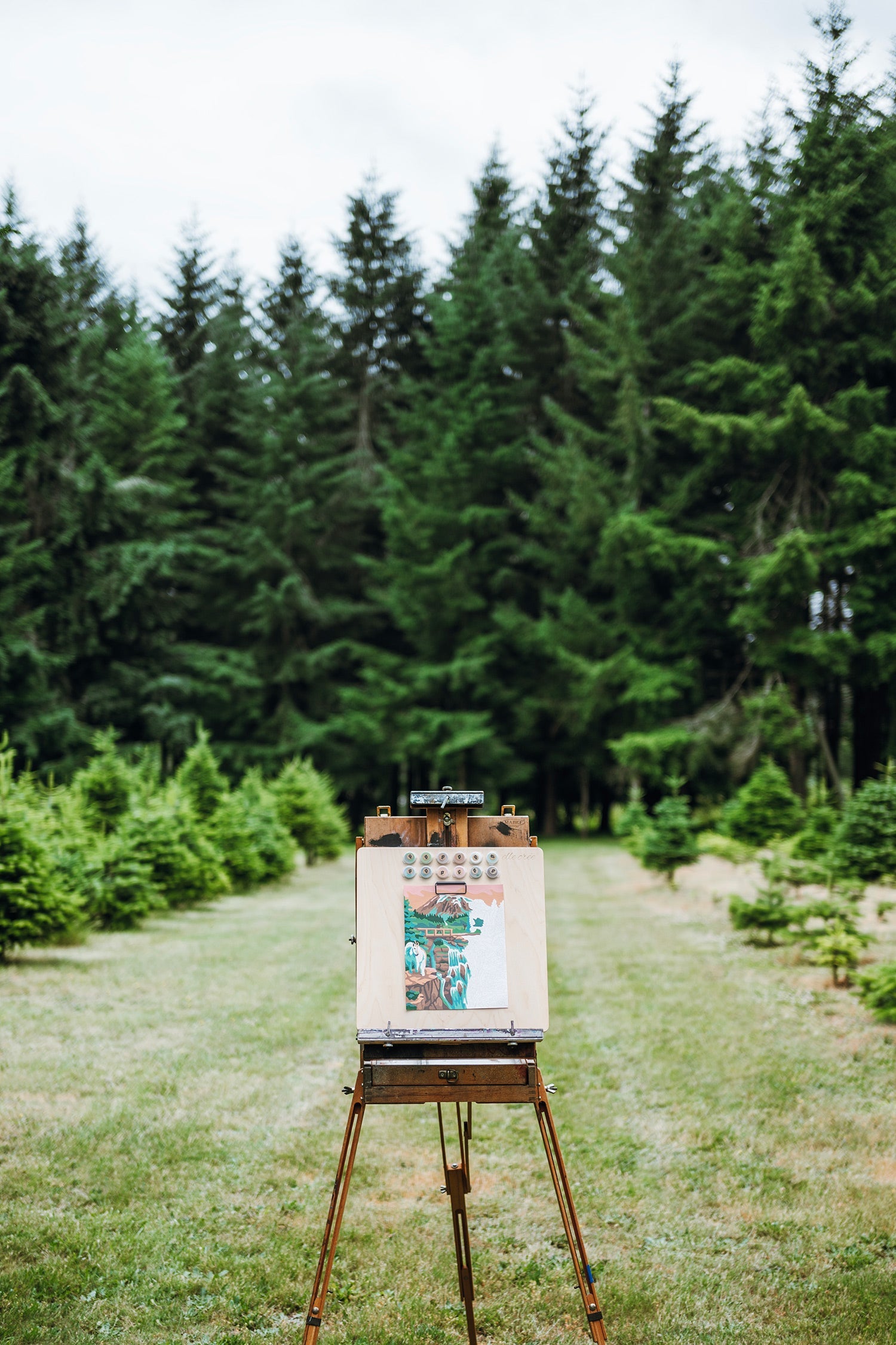 Mount Rainier National Park | 8x10 paint-by-number kit