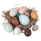 12-Piece Wooden Bird Eggs Set – Nature-Inspired Sensory & Pretend Play