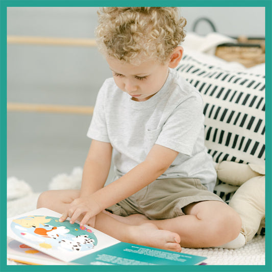 Sol Solecito & Other Nursery Rhymes Musical Book