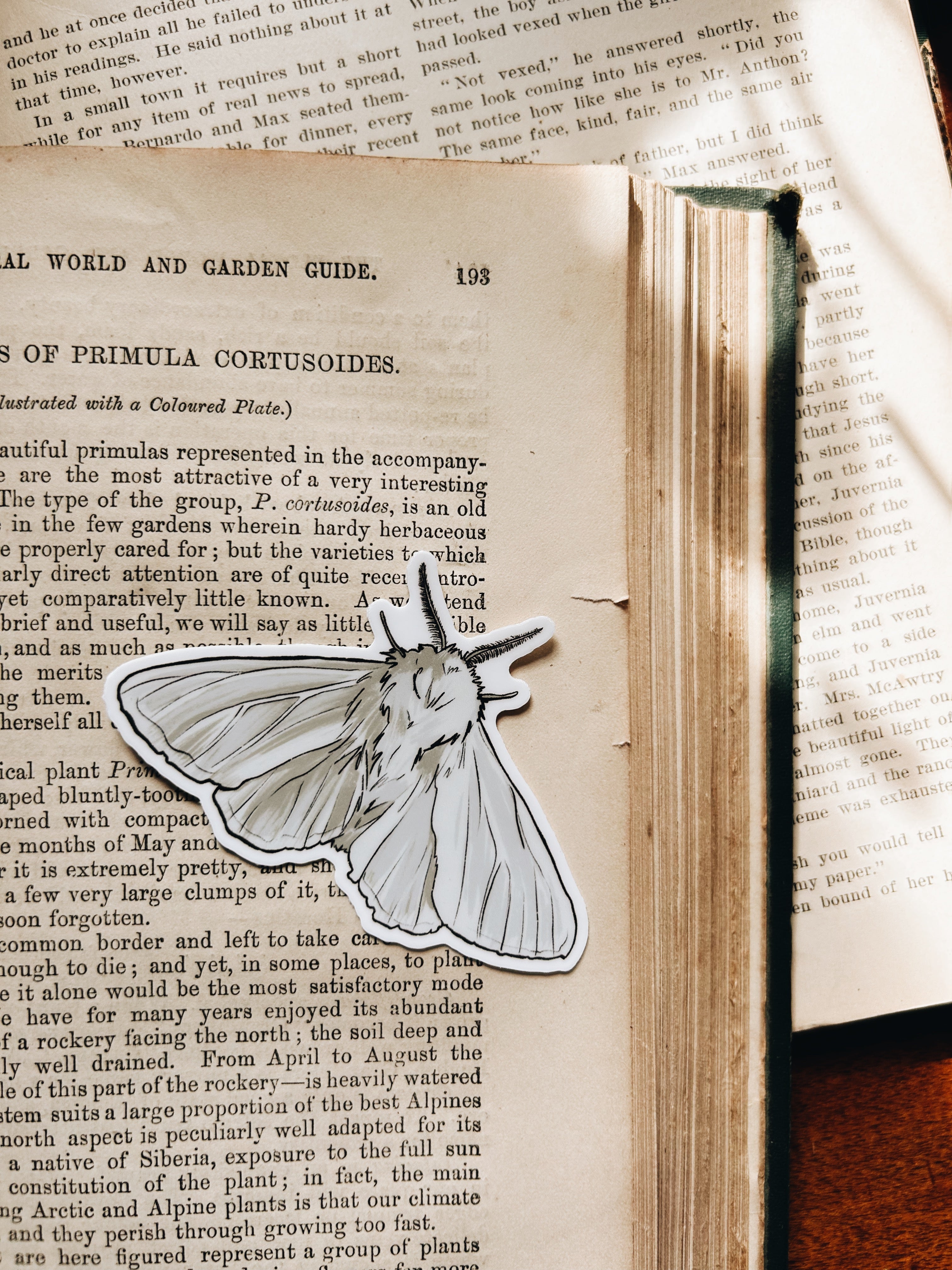 Enchanted Forest | Waterproof Stickers