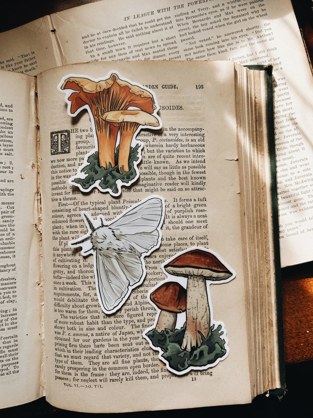 Enchanted Forest | Waterproof Stickers