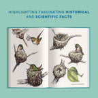 Little Book of Hummingbirds