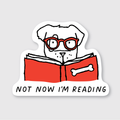 Not Now I'm Reading Sticker