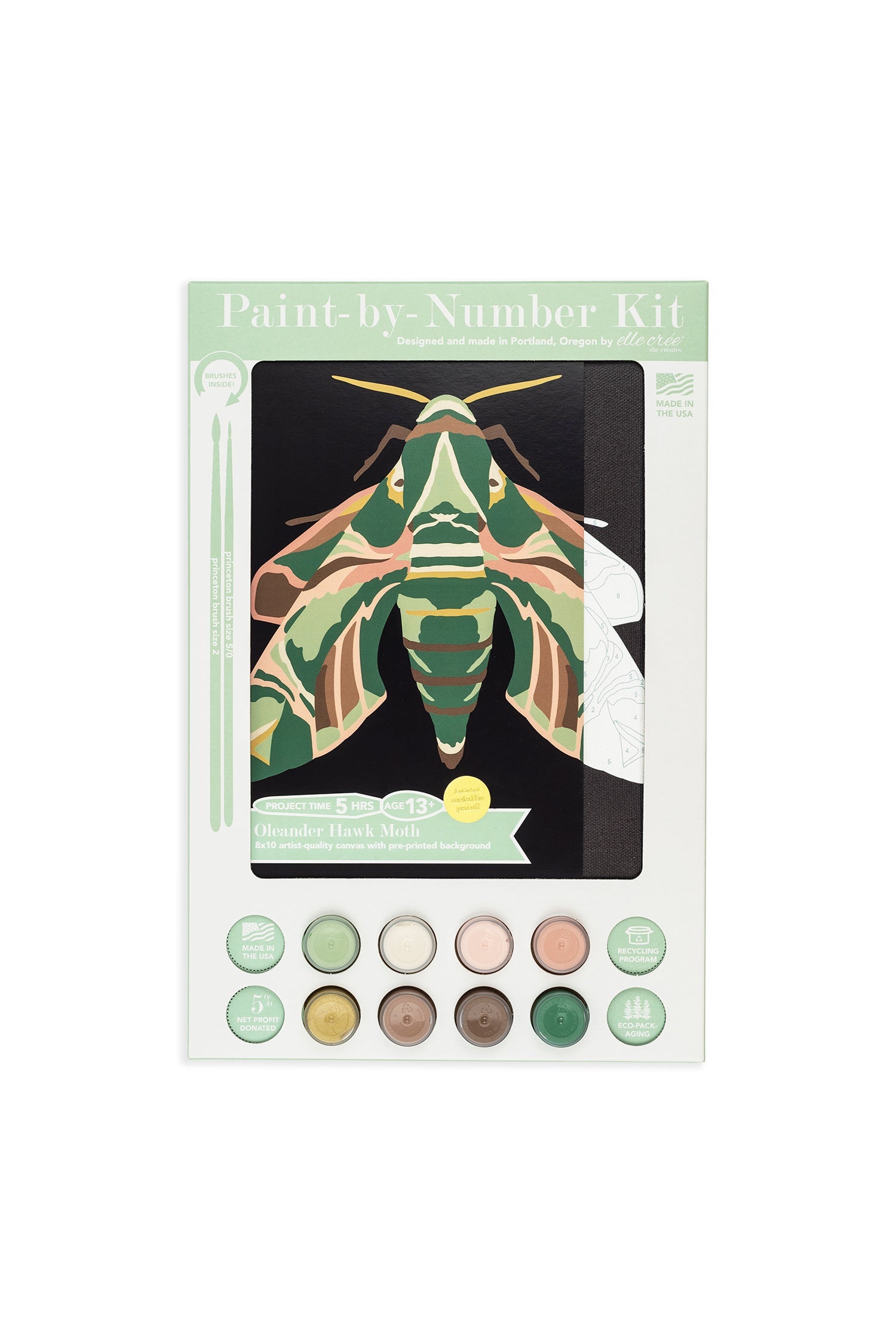 Oleander Hawk Moth | 8x10 paint-by-number kit
