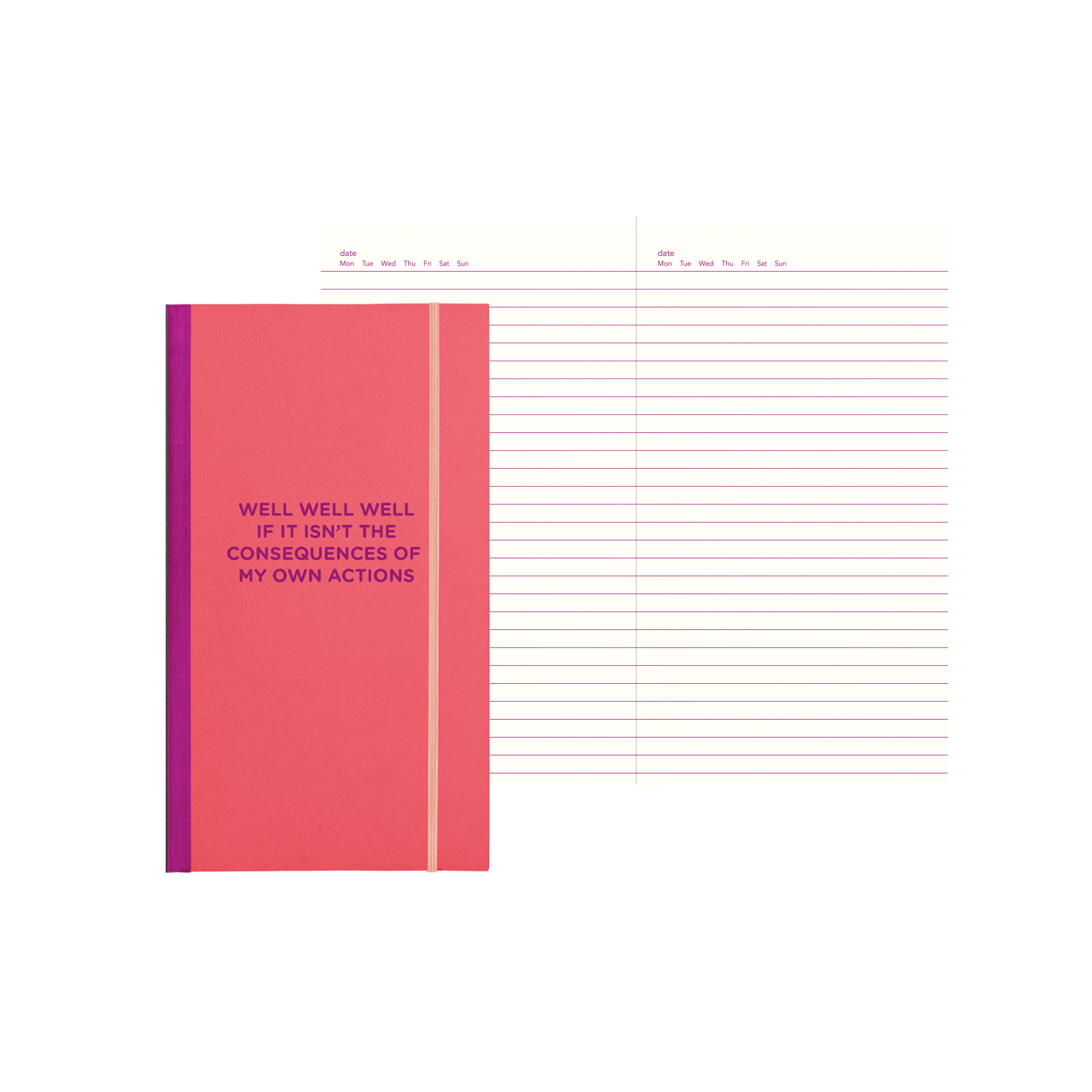 Well Well Well Skinny Notebook