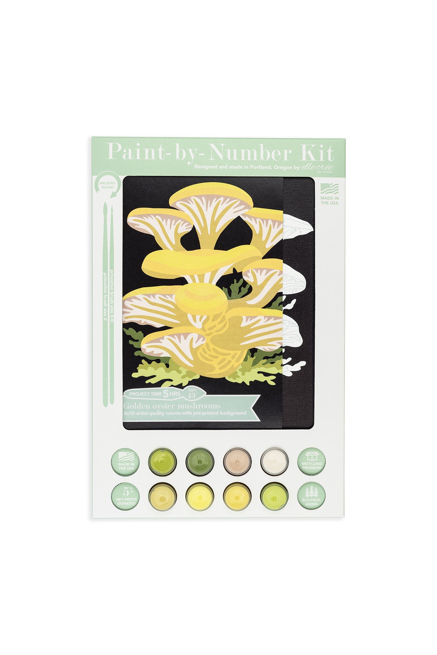 Golden Oyster Mushrooms | 8x10 paint-by-number kit