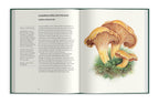 Field Notes From A Fungi Forager