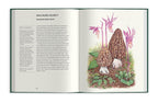 Field Notes From A Fungi Forager