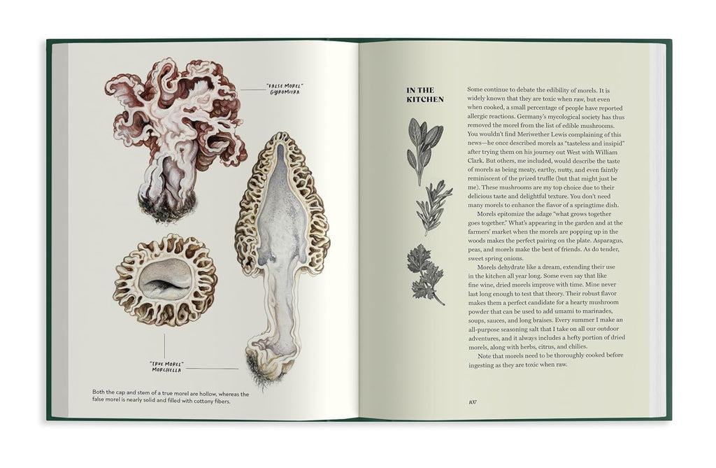 Field Notes From A Fungi Forager