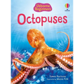Octopuses (Usborne Beginners)