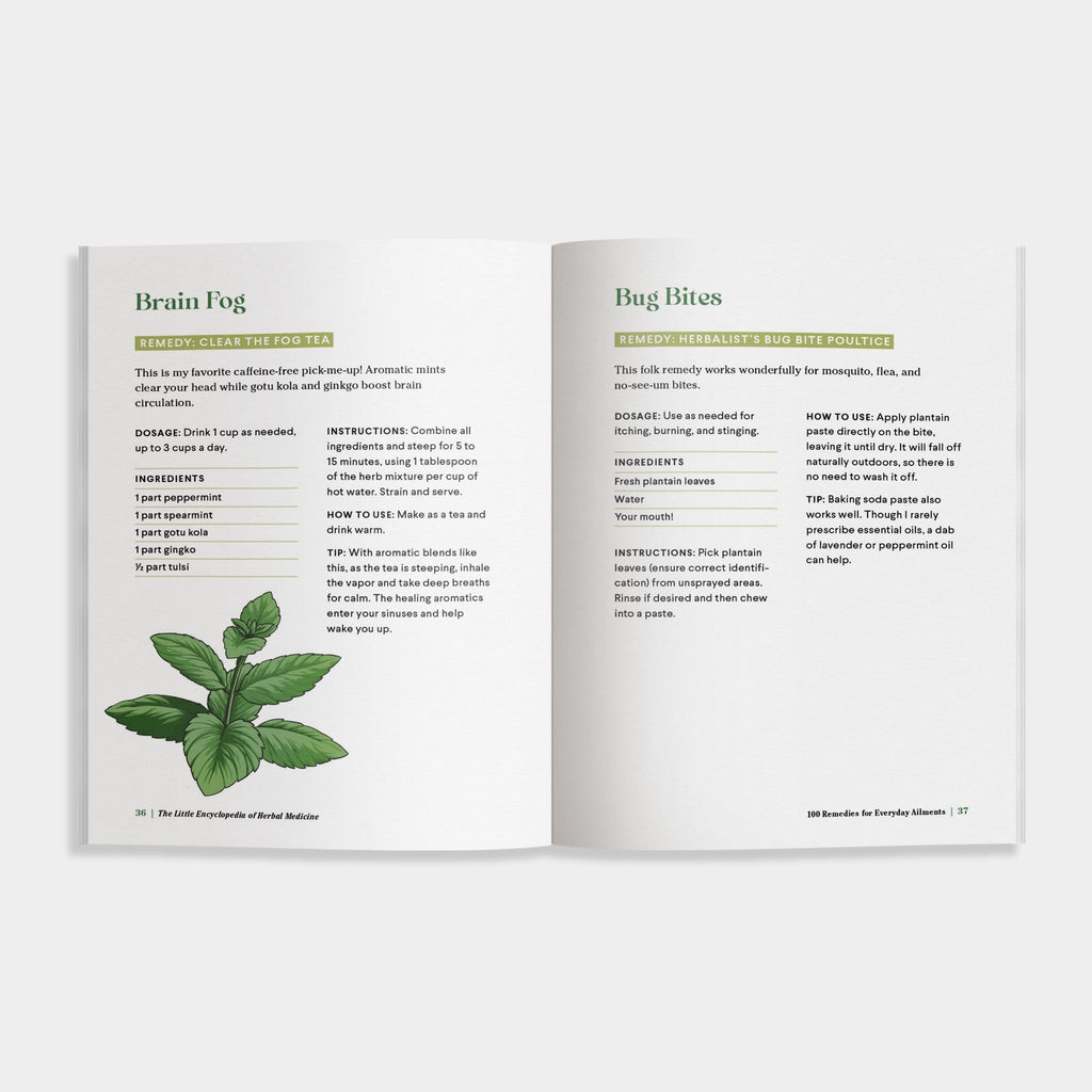 The Little Encyclopedia of Herbal Medicine