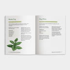 The Little Encyclopedia of Herbal Medicine