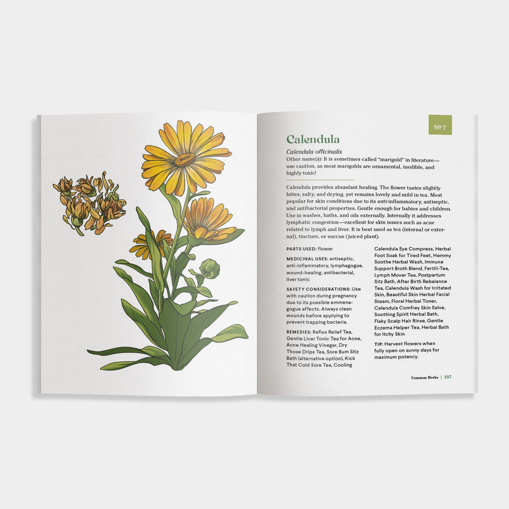 The Little Encyclopedia of Herbal Medicine