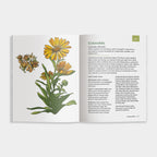 The Little Encyclopedia of Herbal Medicine