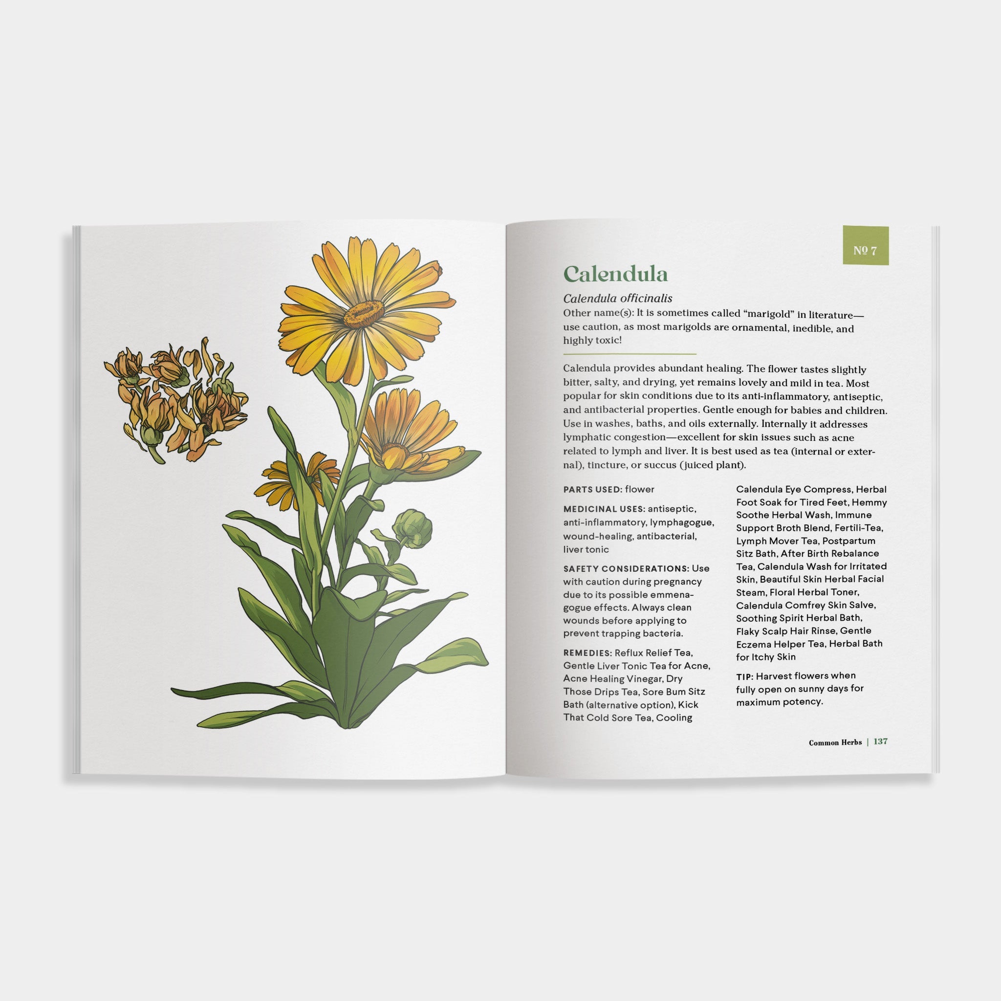 The Little Encyclopedia of Herbal Medicine