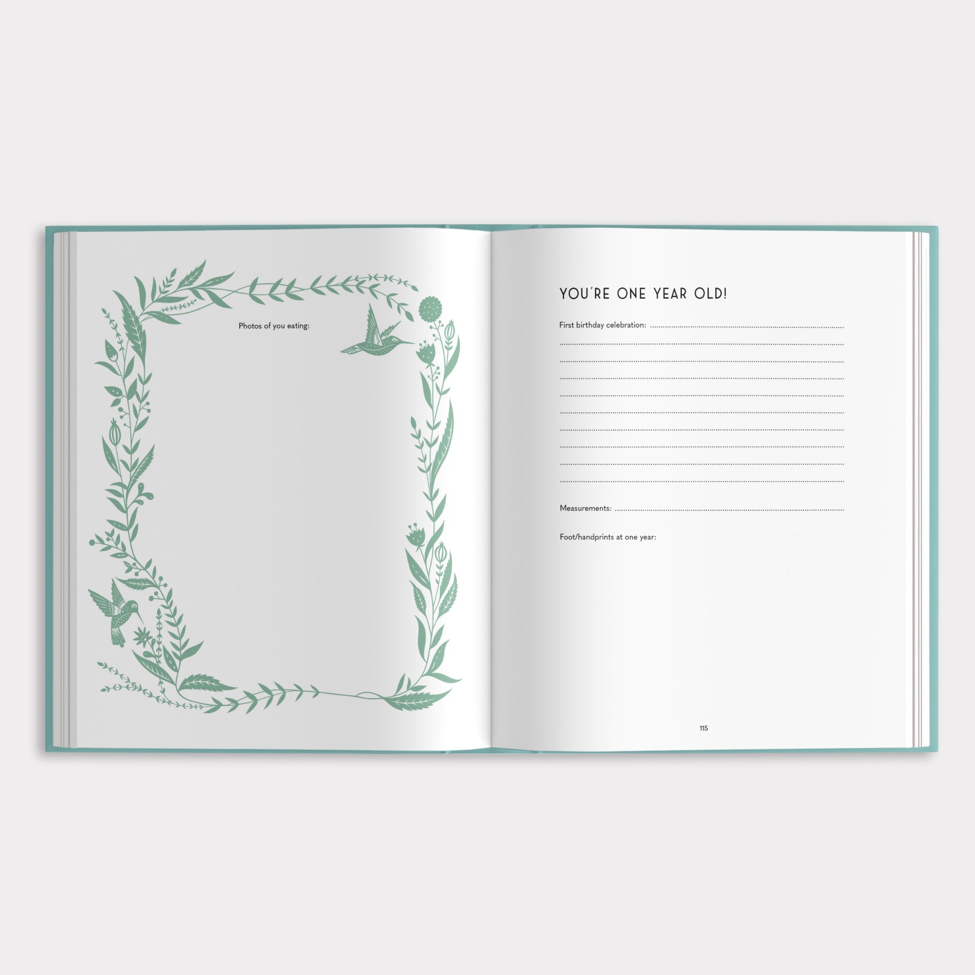 My Baby's Book