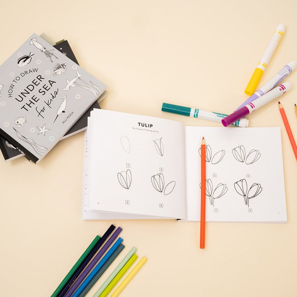 How to Draw So Many Things [Mini Box Set]