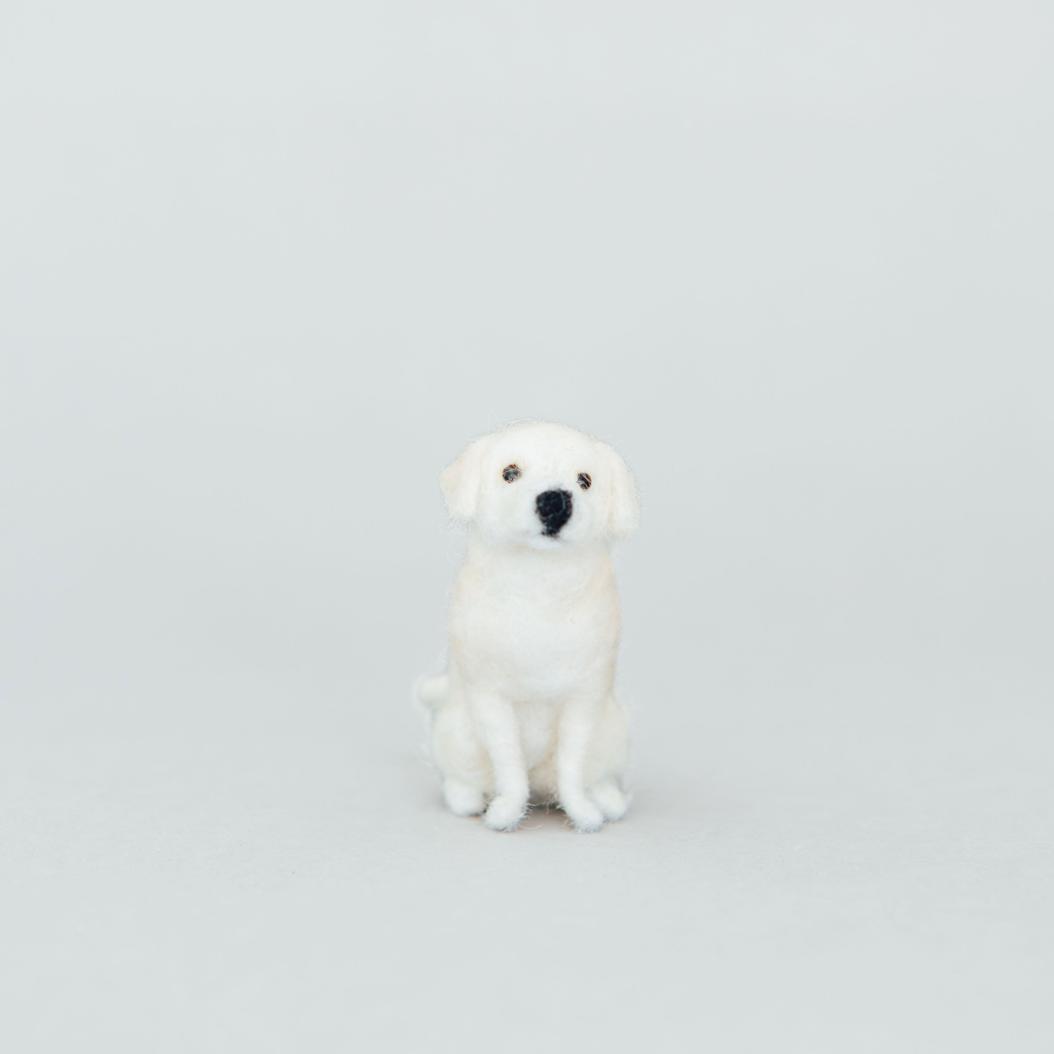 Little Felted Friends: Labrador Retriever