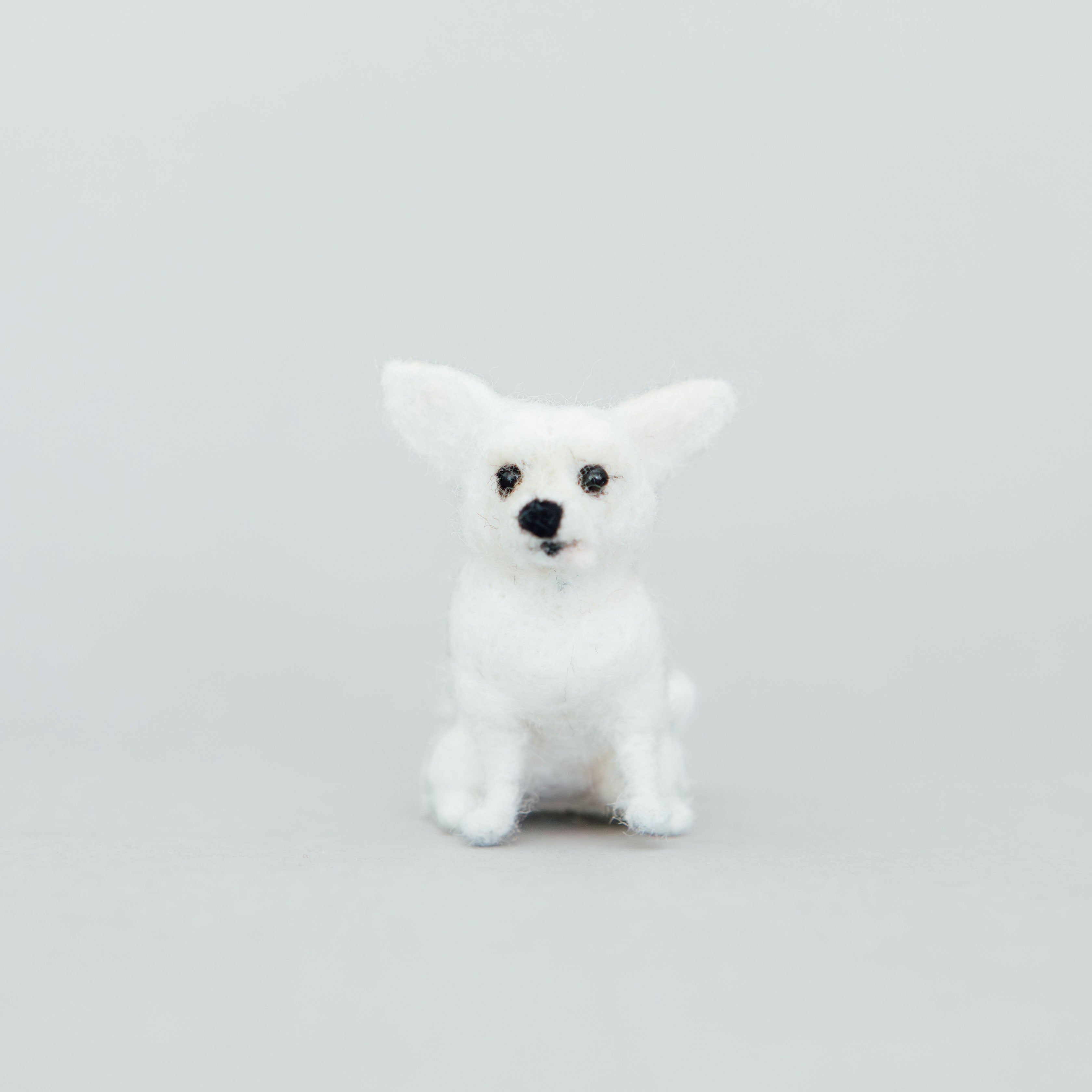 Little Felted Friends: Chihuahua