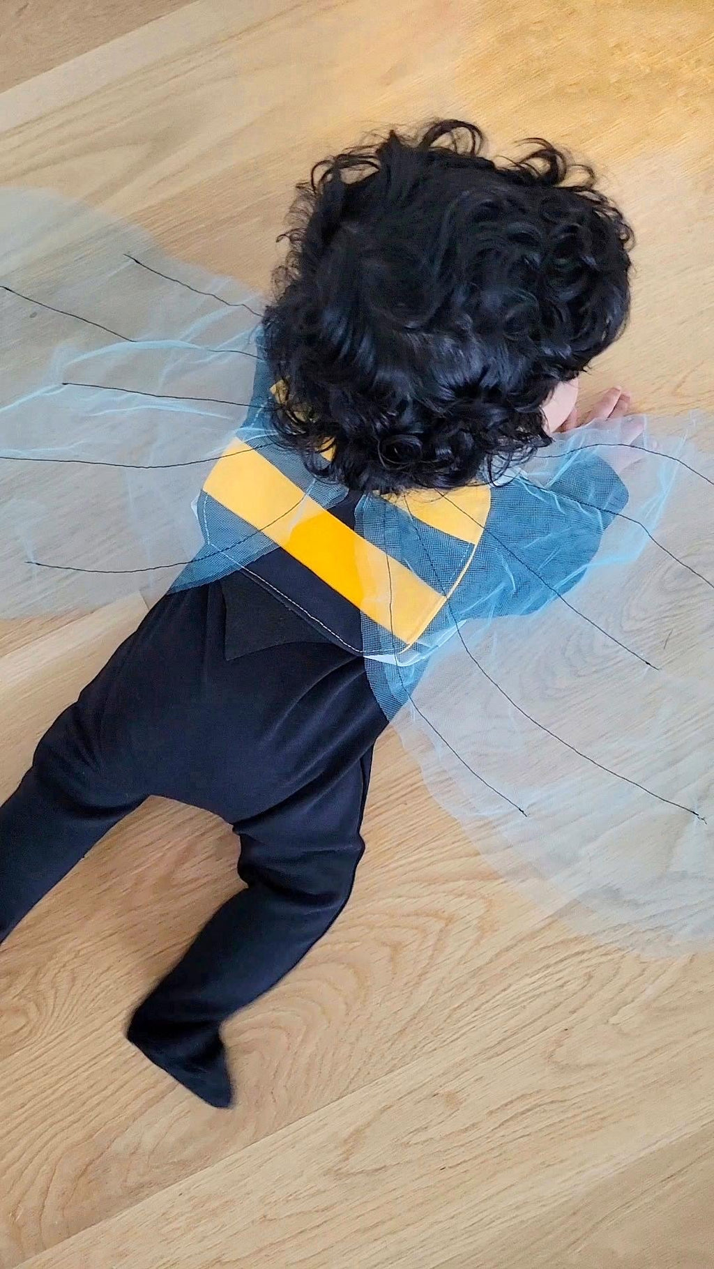 Bumble Bee Wings