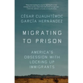Migrating to Prison: America's Obsession with Locking Up Immigrants