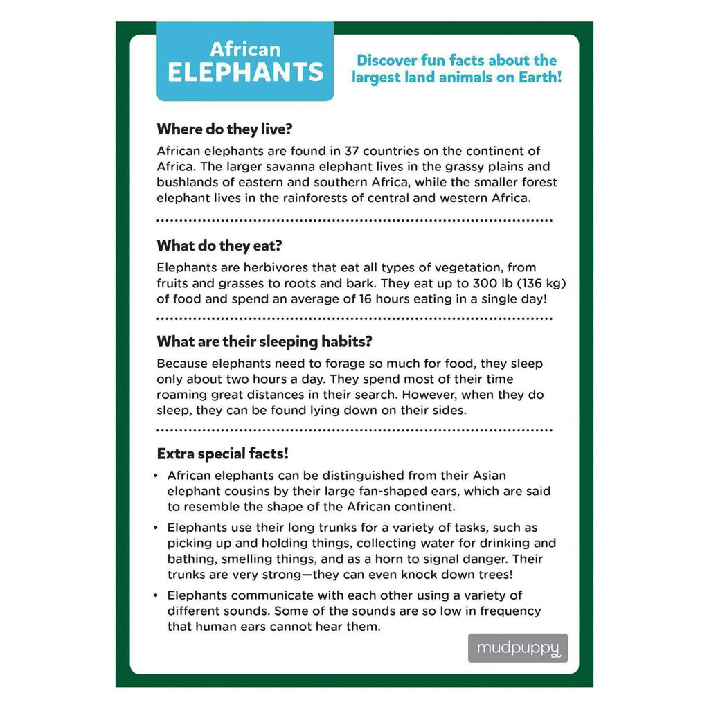 African Elephant 48 Piece Mini Jigsaw Puzzle Mudpuppy