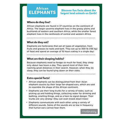 African Elephant 48 Piece Mini Jigsaw Puzzle Mudpuppy