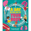 A Day in the Life of Your Body: Find Out What's Going on Under Your Skin