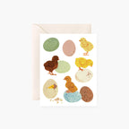 SPRING BABY CHICKS |  greeting card