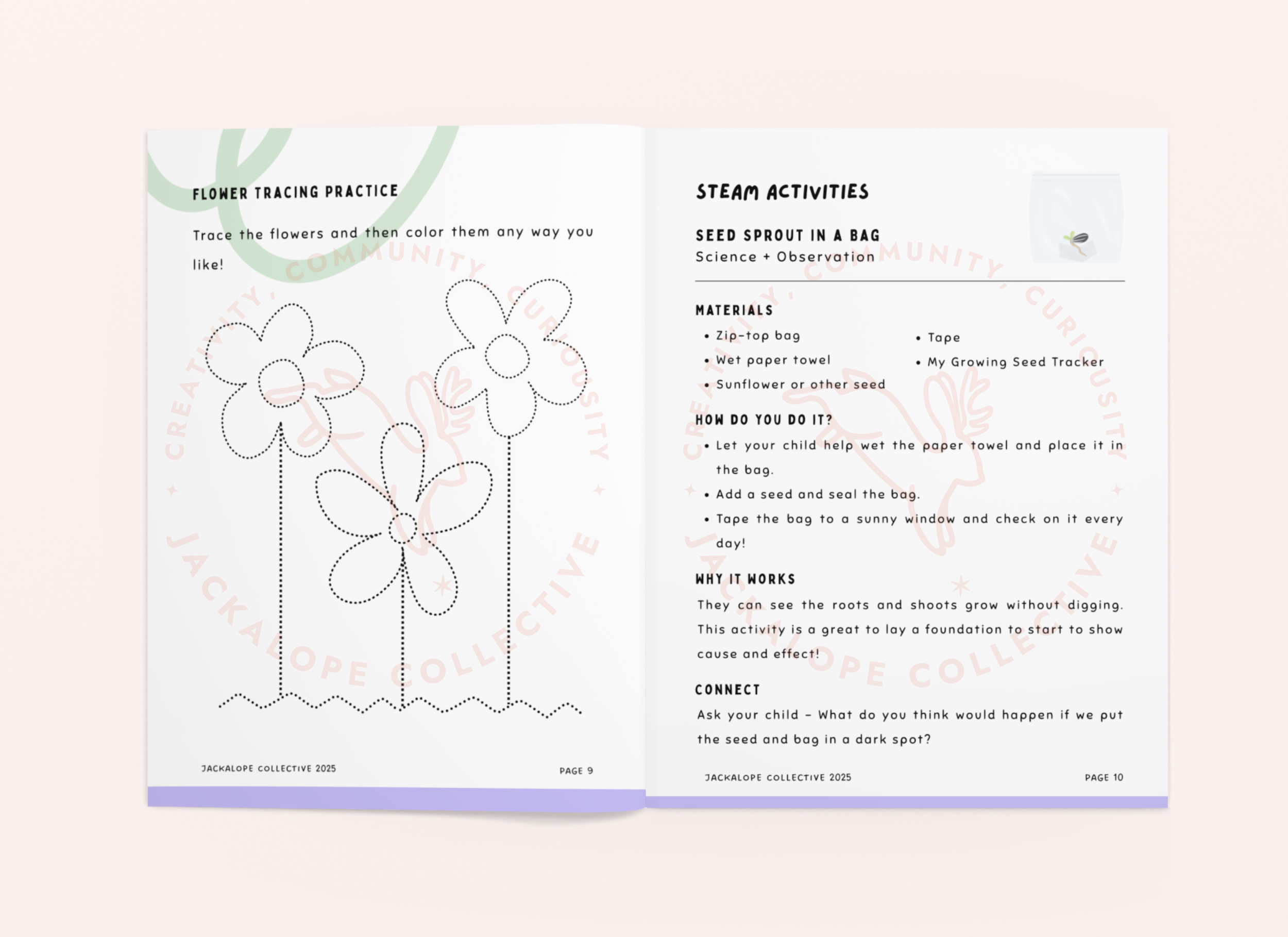 Printable kids STEAM activity booklet ‘How Does… A Flower Grow?’ with flower tracing practice and hands-on science experiment instructions, shown in an open spread mockup.