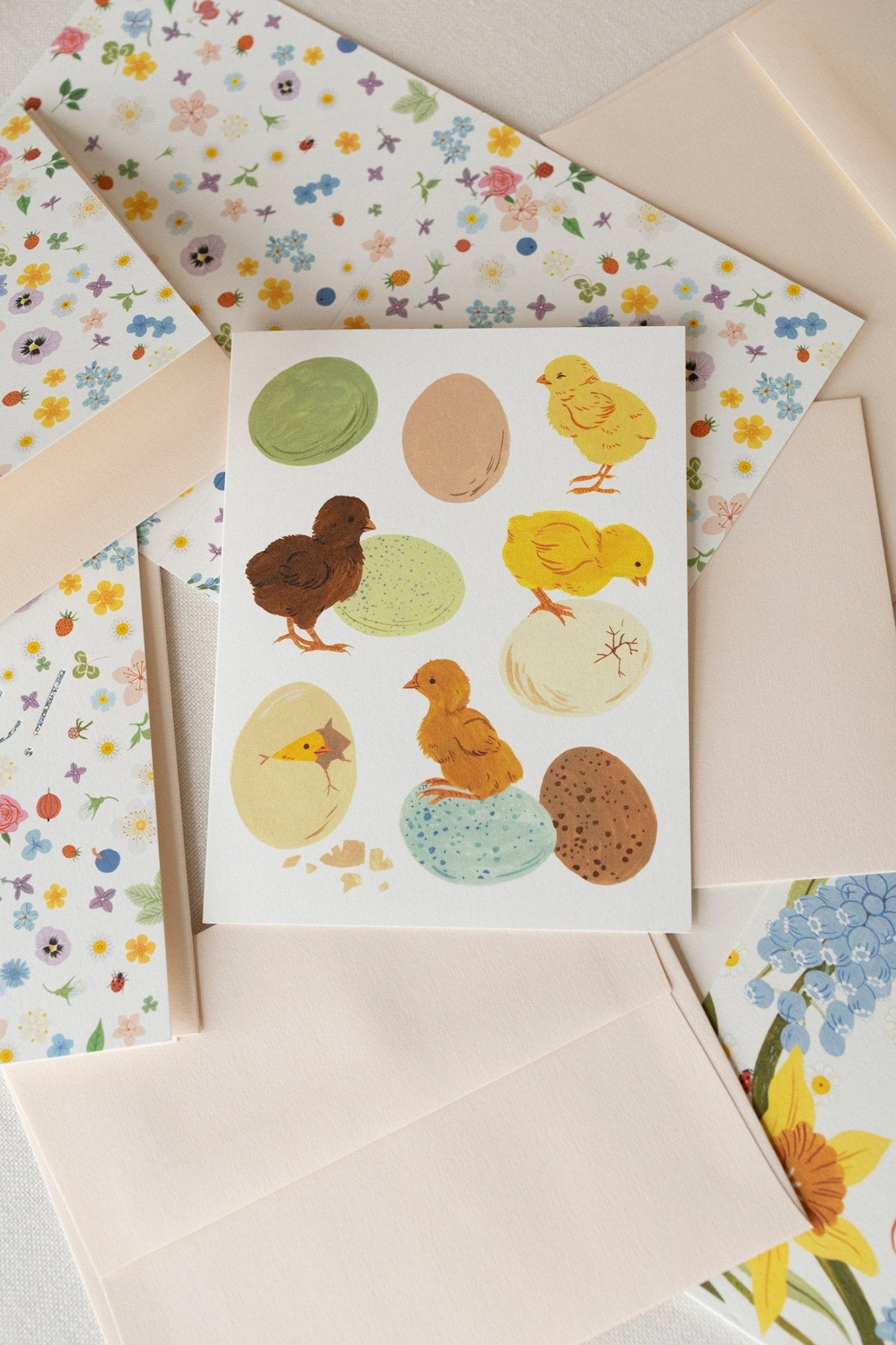 SPRING BABY CHICKS |  greeting card