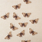 BUTTERFLY | CLEAR VINYL STICKER