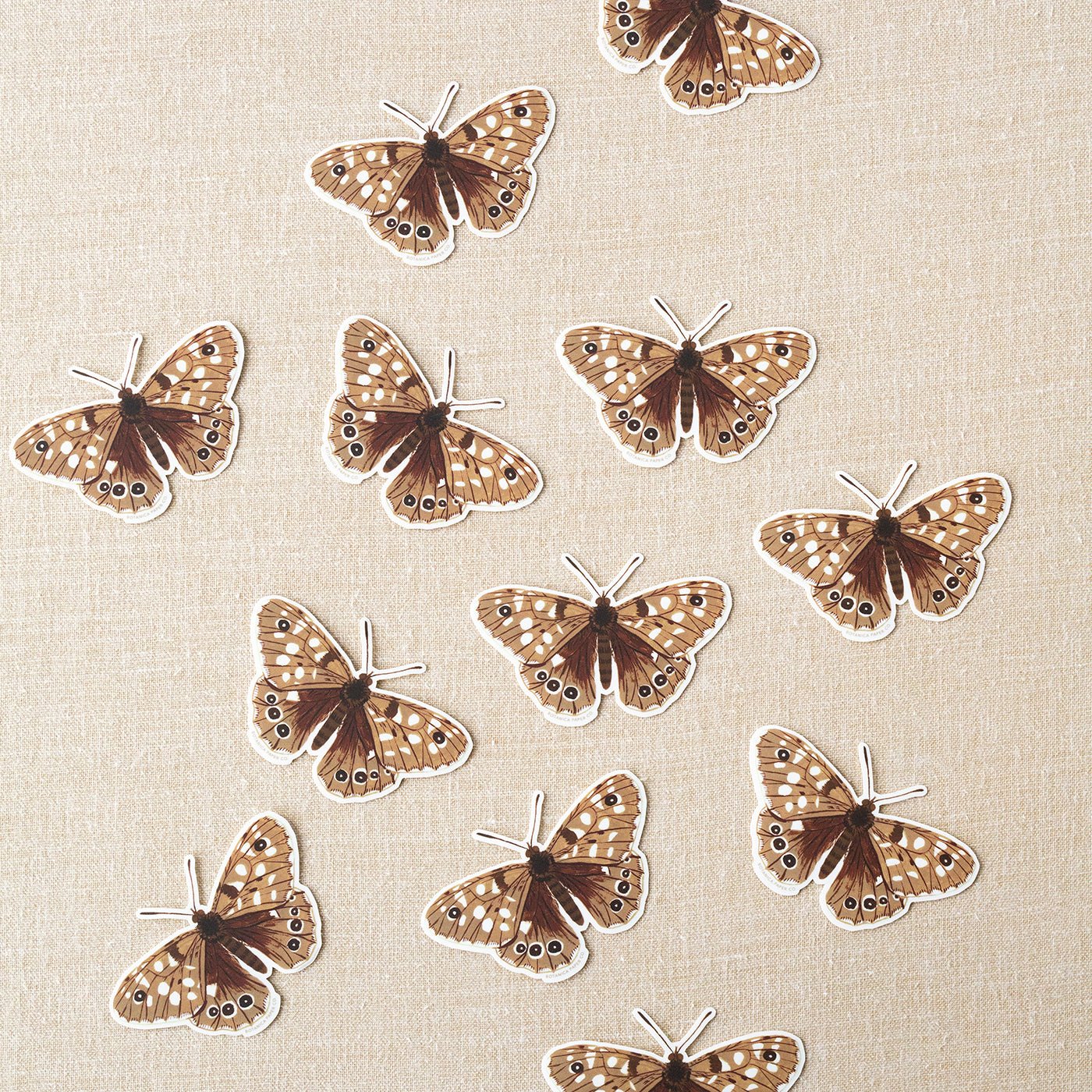 BUTTERFLY | CLEAR VINYL STICKER