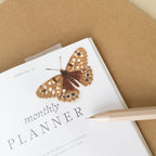 BUTTERFLY | CLEAR VINYL STICKER