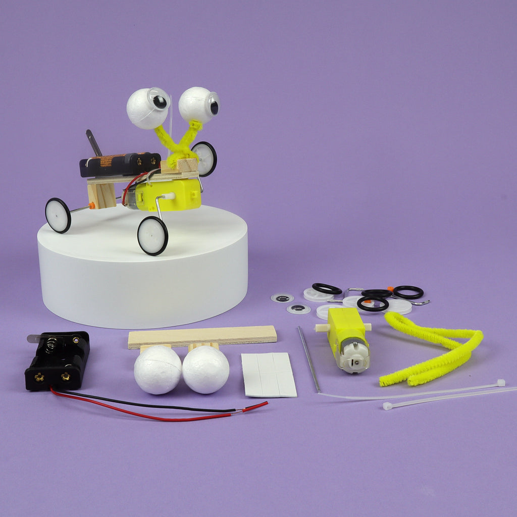 Bug Robot DIY Kit, Educational STEM Toy