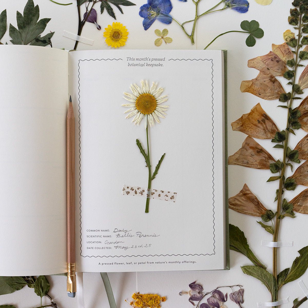 HERBARIUM | LINEN-BOUND PLANNER