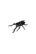 Giraffe Stag Beetle Enamel Pin (Prosopocoilus giraffa)