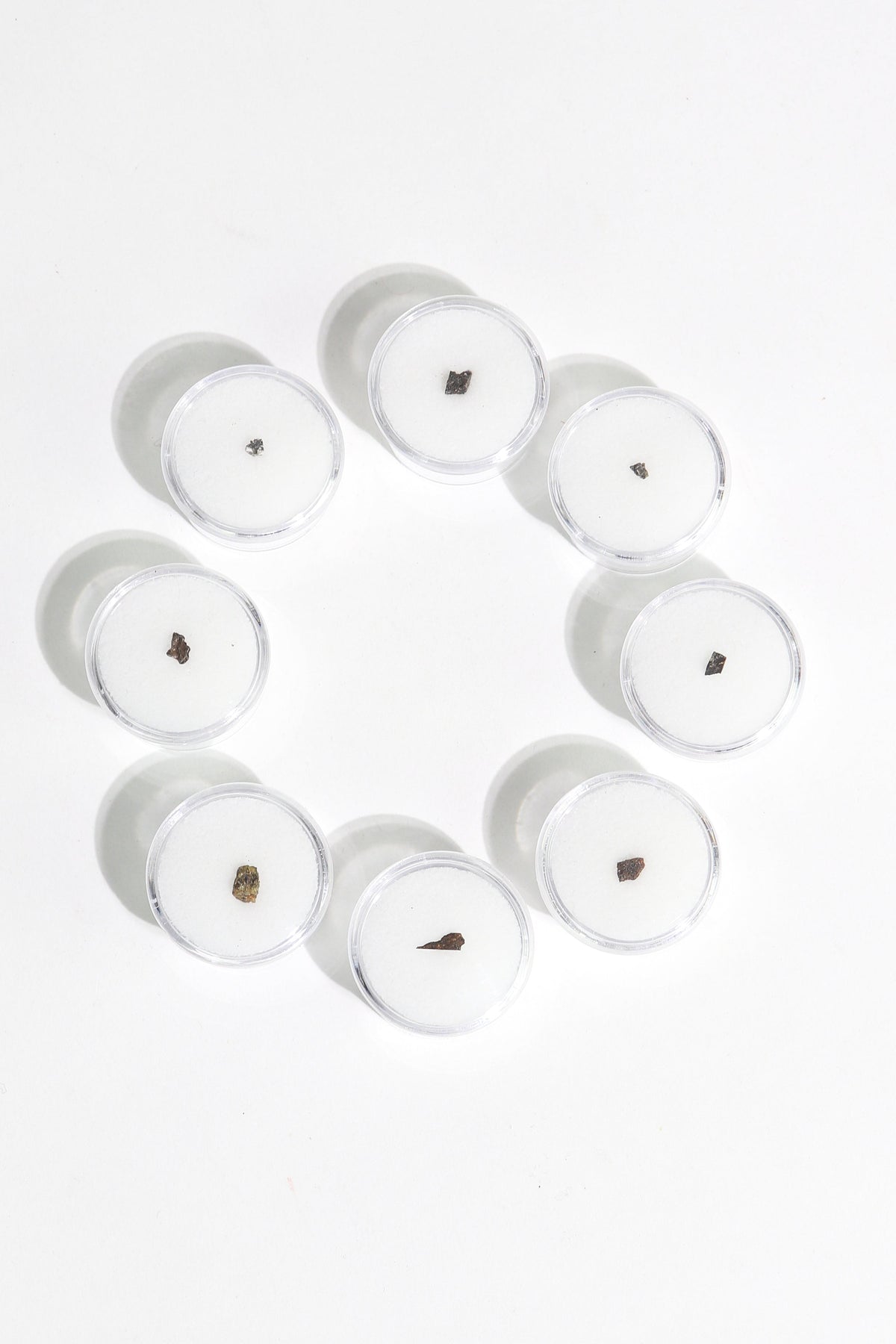 Meteorite Blind Bag: Cosmology Series 1 (Limited Run)