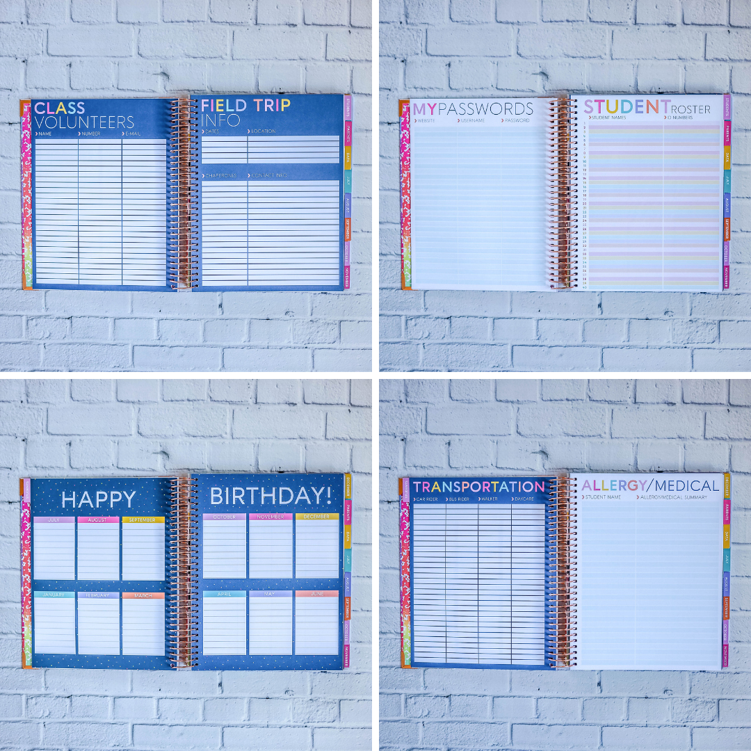 Gimme Stripes - MULTICOLOR Teacher Planner by BERTEAU & Co.