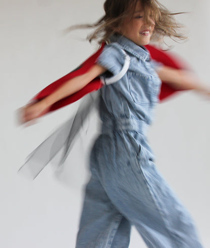 Ladybug Wings Costume