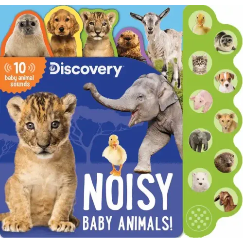 Discovery: Noisy Baby Animals!