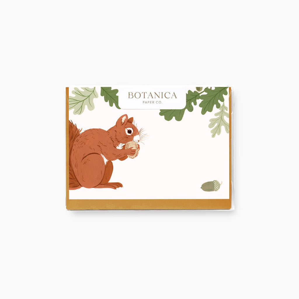 SQUIRREL | Mini Boxed Cards of 8