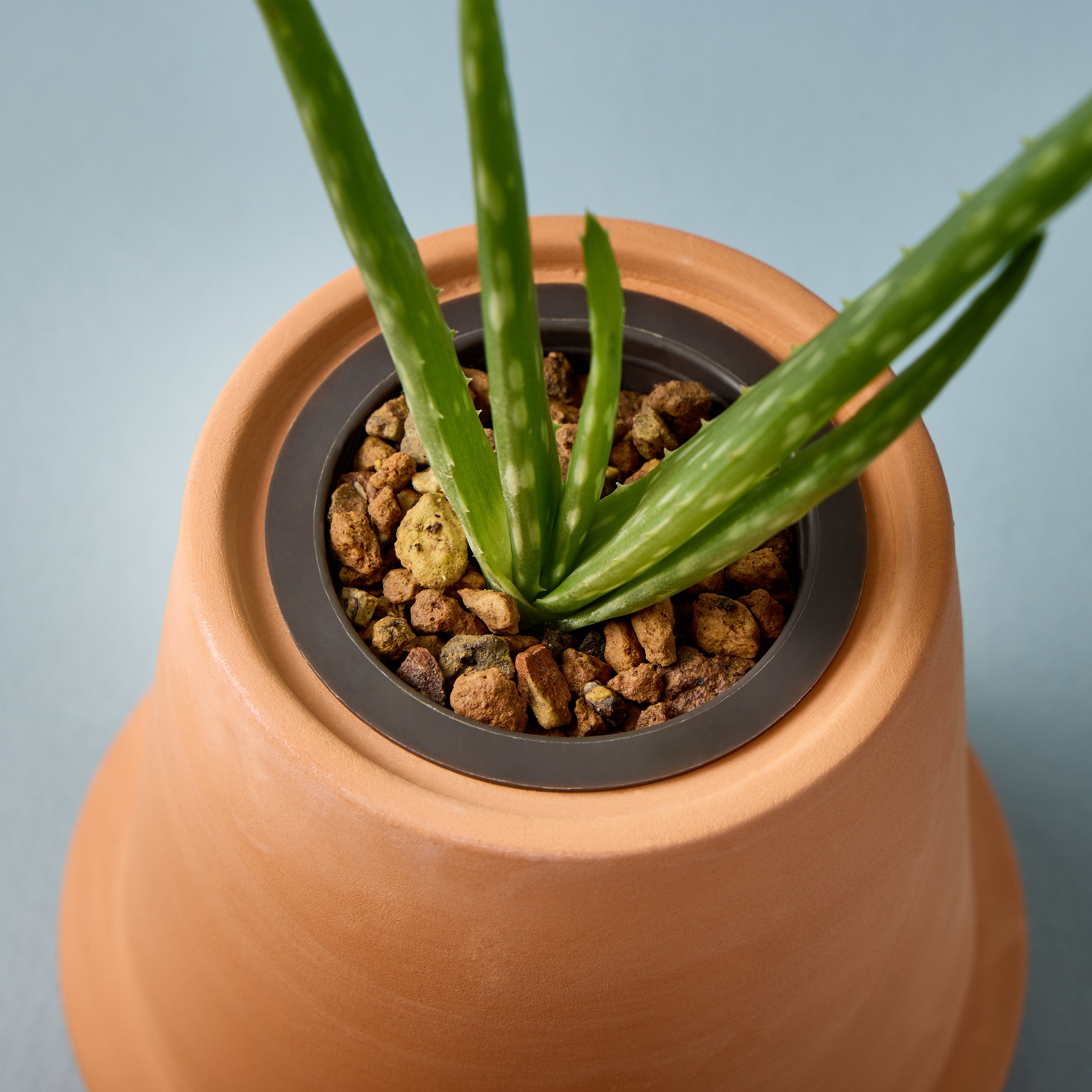 Modern Terracotta Grow Kits