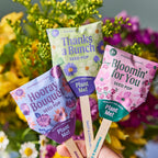 Seed Pops - Flowers