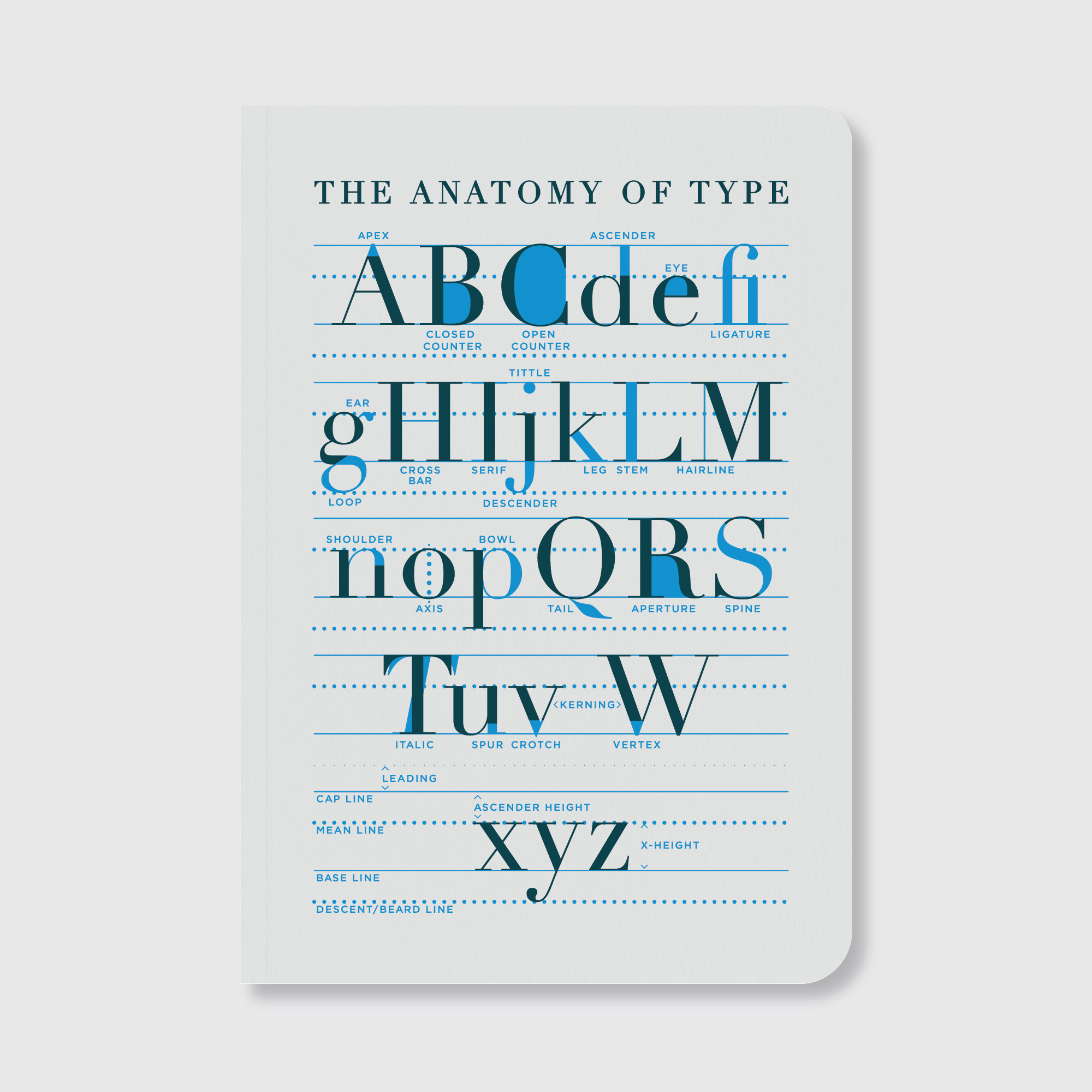 Anatomy of Type Notebook