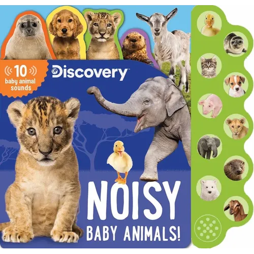 Discovery: Noisy Baby Animals!