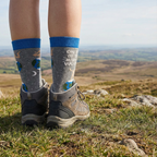 On Top Of The World Funny Novelty Socks with Nude Figure | Unisex